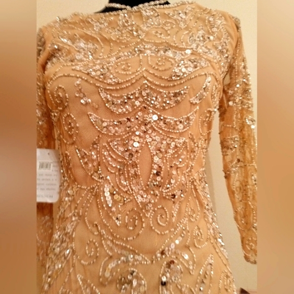 Pisarro Nights Dresses & Skirts - NWT,Nordstrom Beaded Gown